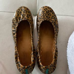 Leopard tieks 9